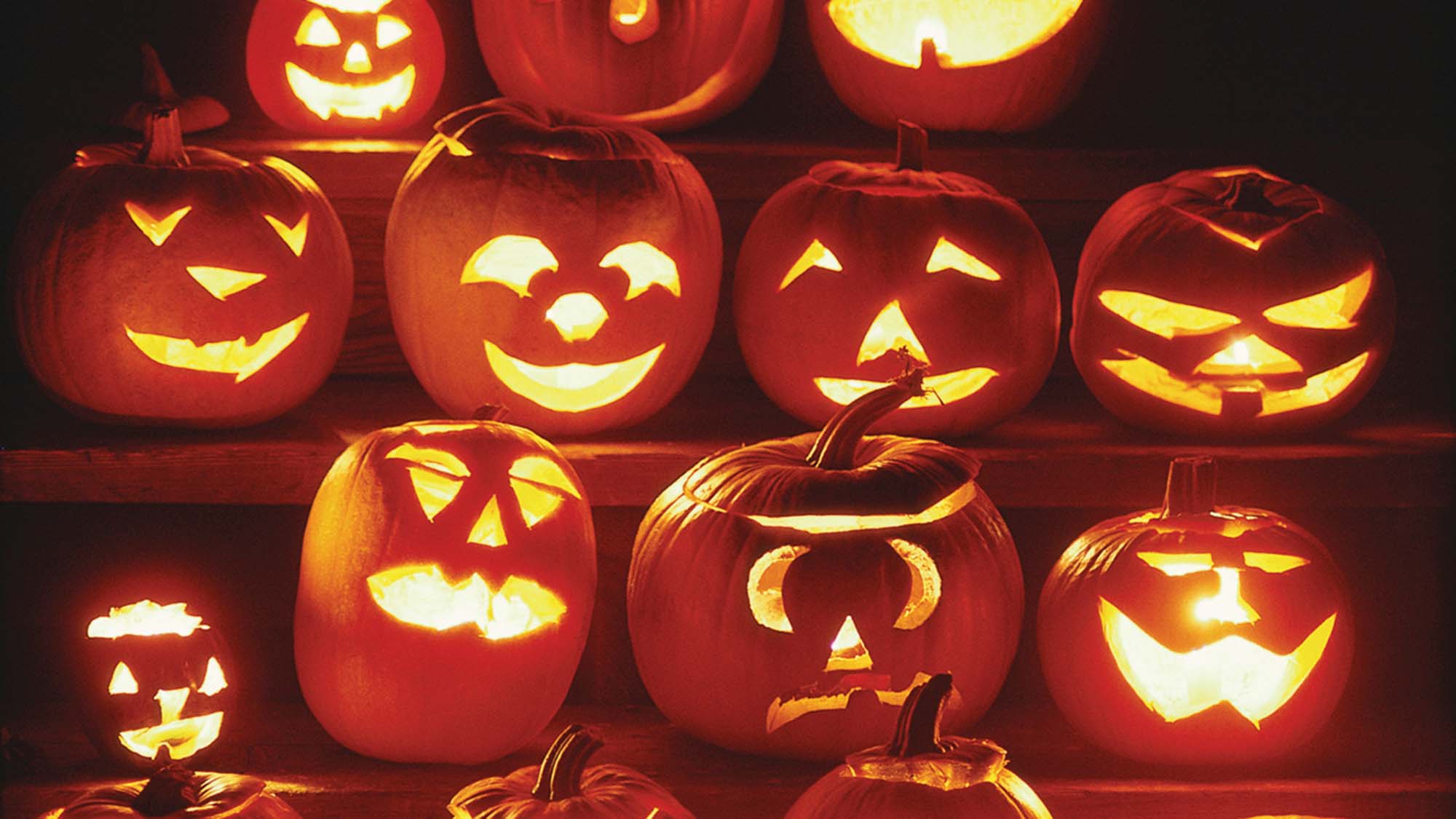 learn-how-to-carve-a-better-pumpkin-town-money-saver-blog